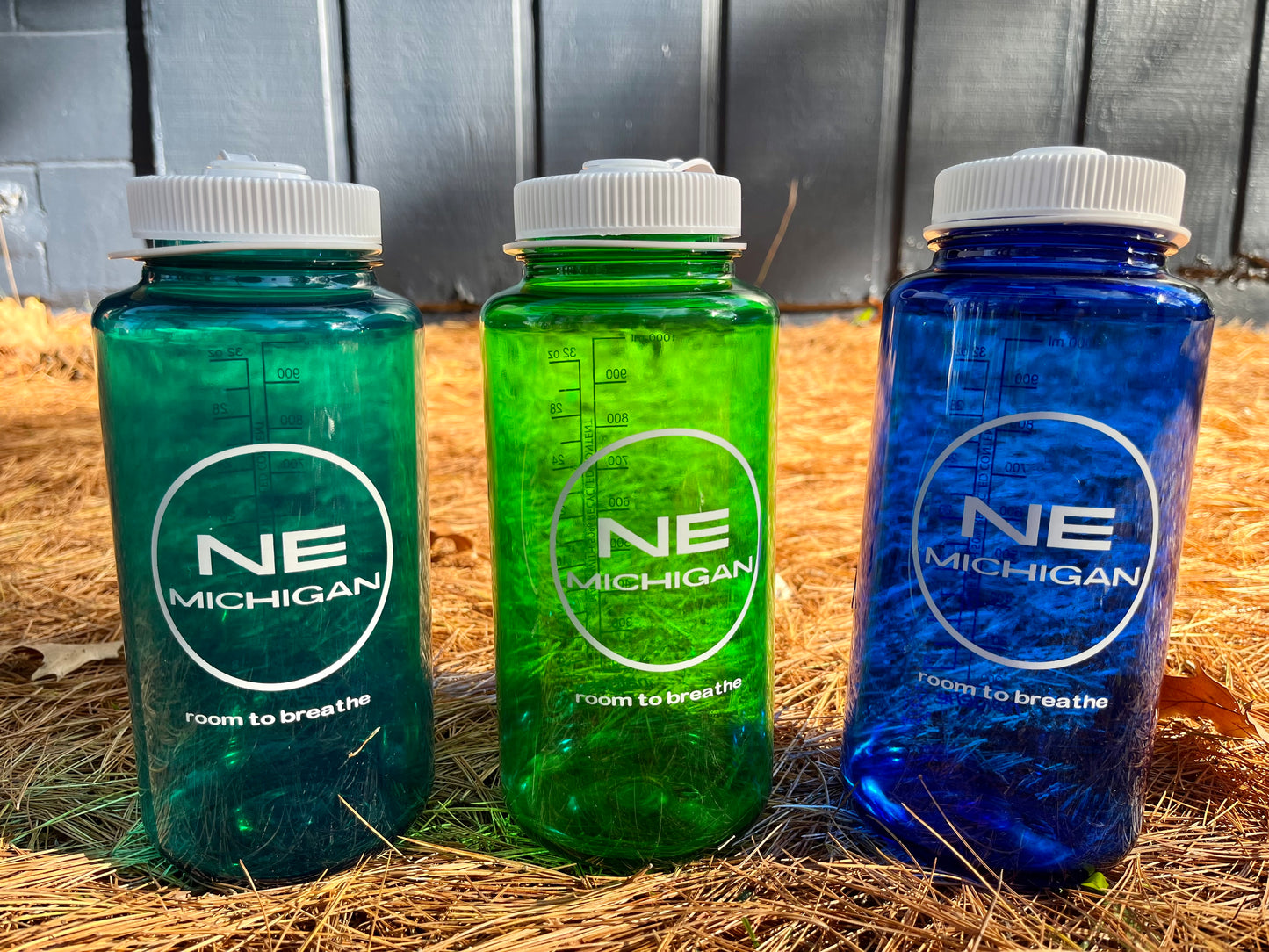NE Michigan Nalgene Water Bottle: Navy